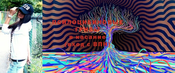 кокаин перу Абаза