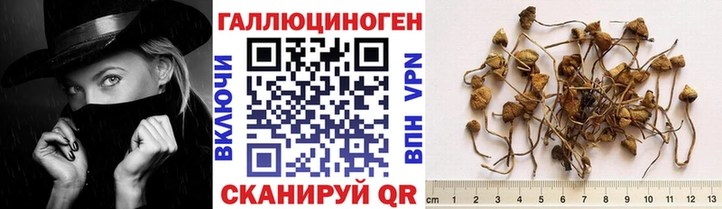 Псилоцибиновые грибы GOLDEN TEACHER  Югорск 